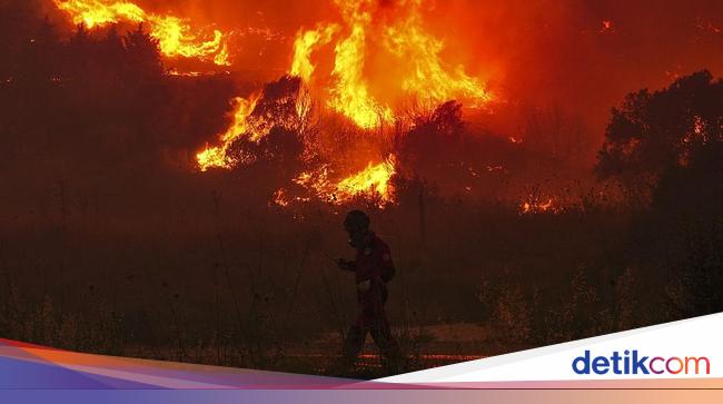 Kebakaran Hutan Landa Turki, 50.000 Warga Dievakuasi