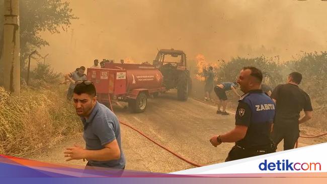 Ngerinya Kebakaran Hutan di Turki, 50.000 Orang Dievakuasi
