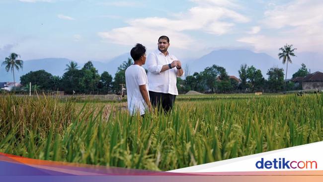 Legislator NasDem Apresiasi Kinerja Polri Dukung Swasembada Pangan