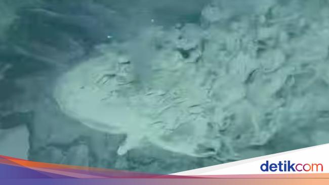 'Harta Karun Tersembunyi' Terus-terusan Menyembur dari Dalam Bumi