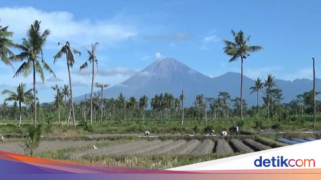 Gunung Semeru Erupsi Lagi, Status Masih Waspada
