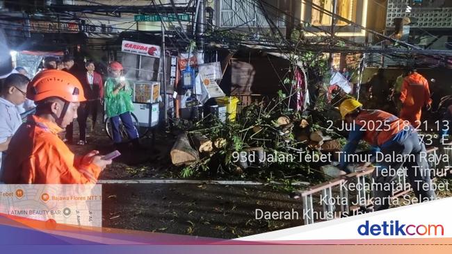 Pohon Tumbang Timpa Kios dan Motor di Jaksel gegara Hujan-Angin Kencang