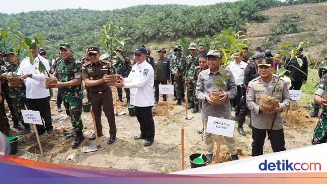Ratusan Hektare Lahan TNTN yang Dikembalikan Warga Akan Ditanami Pohon