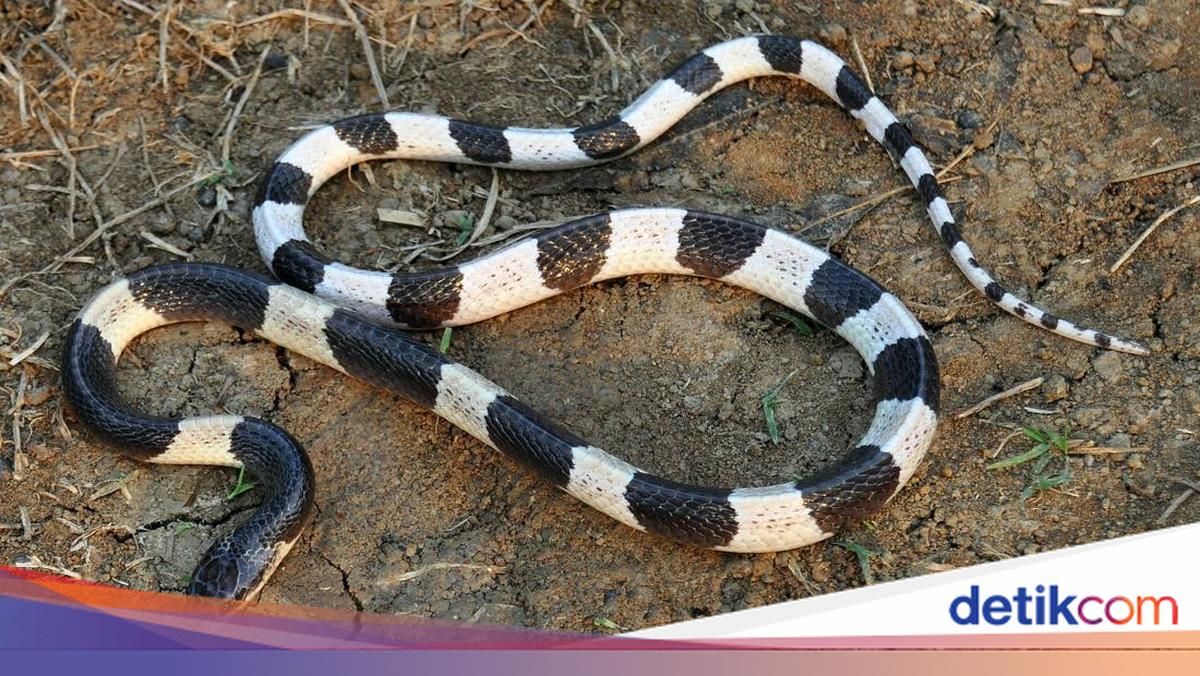 Ehtirosli va qattiq porno tomosha qiling Topilgan telefonlardan rasmlar