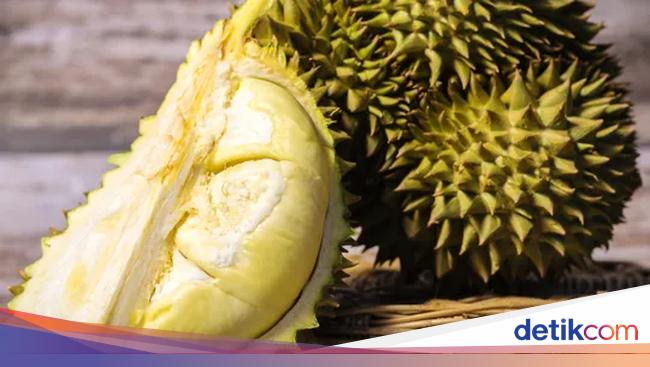 10 Durian Legit Asal Thailand yang Diburu Penggemarnya