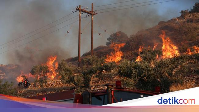 Yunani Dilalap Api, Separuh Pulau Nyaris Hangus Terbakar