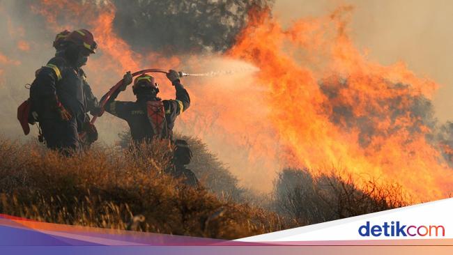 Kebakaran Hutan di Yunani Meluas, Warga-Turis Dievakuasi