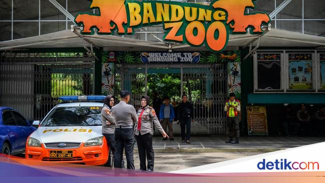 Bandung Zoo Ditutup! Dualisme Manajemen Diduga Jadi Masalah