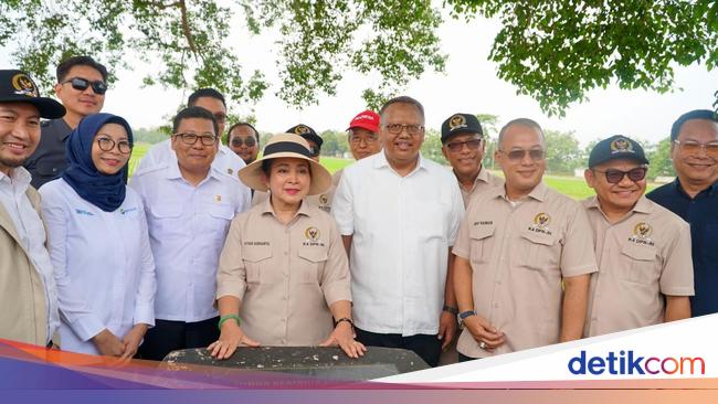 Bapanas dan Komisi IV Cek Benih Padi buat Swasembada Pangan
