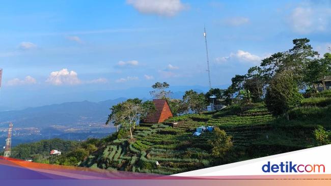 Usir Penat di Ketinggian, Ini 4 Tempat Ngopi Santai di Kuningan
