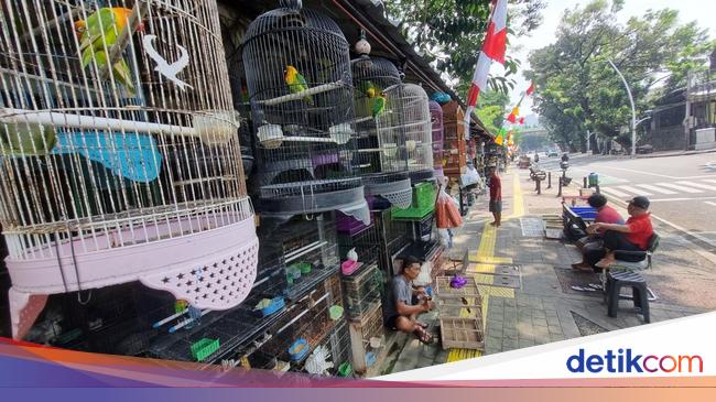 Pedagang Burung Barito Jaksel Harap Tak Direlokasi ke Lenteng Agung