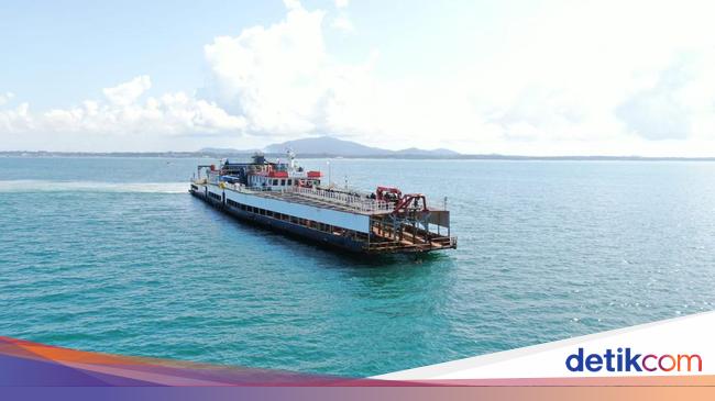 Jurus MIND ID Jaga Ekosistem Flora-Fauna Laut Lewat Program Berkelanjutan