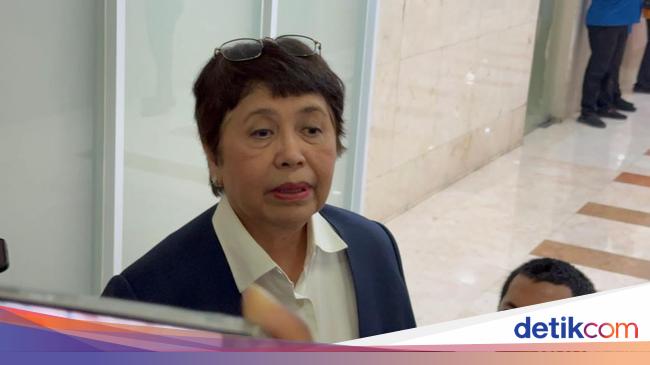 Jadi Calon Dubes Jepang, Adik Luhut Fokus Hubungan Bilateral-Ketenagakerjaan