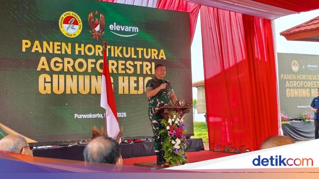 TNI AD Garap 200 Hektare Lahan untuk Agroforestri di Purwakarta 4 Bulan