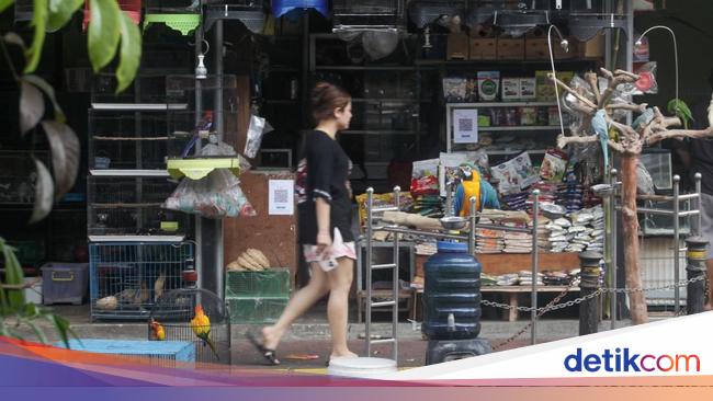 Pedagang Loksem Barito Direlokasi, Pemprov DKI Pastikan Ekonomi Tetap Jalan