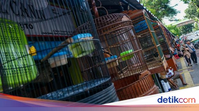 Pemkot Jaksel Sosialisasi Relokasi Pasar Burung Barito Pekan Ini