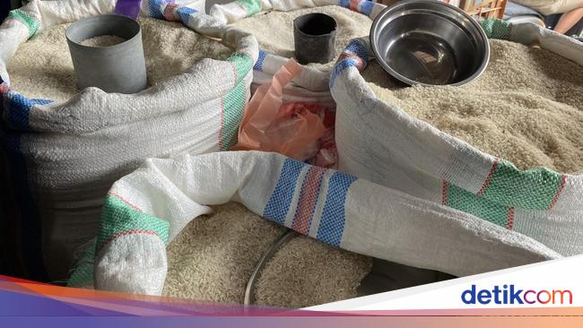 Kemendag Buka-bukaan Temuan Beras Oplos di 62 Kota