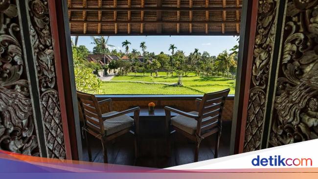 Penginapan Unik dengan View Sawah Ini di Bawah Rp 600 Ribu Semalam