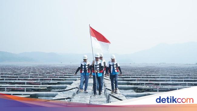 Tumbuh 8,18%, Portofolio Pembiayaan Hijau BRI Capai Rp 89,9 Triliun