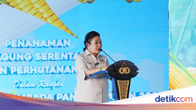 Titiek Soeharto Apresiasi Polri Gaspol Tanam Jagung Demi Swasembada Pangan