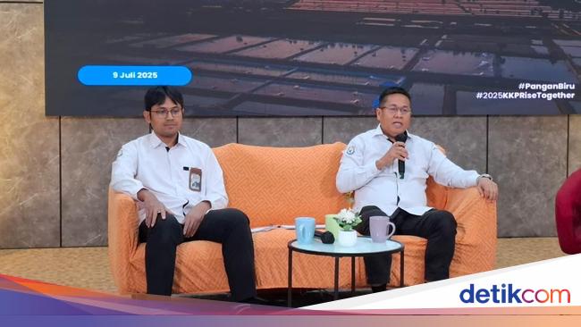 Sektor Usaha di Pulau Kecil Wajib Punya Izin dari KKP, termasuk Tambang!
