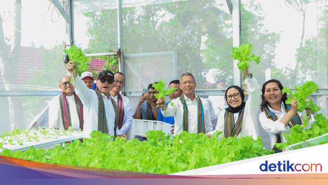 Pertamina Hijaukan Hutan Lombok, Upaya Pelestarian Lingkungan-Ekonomi