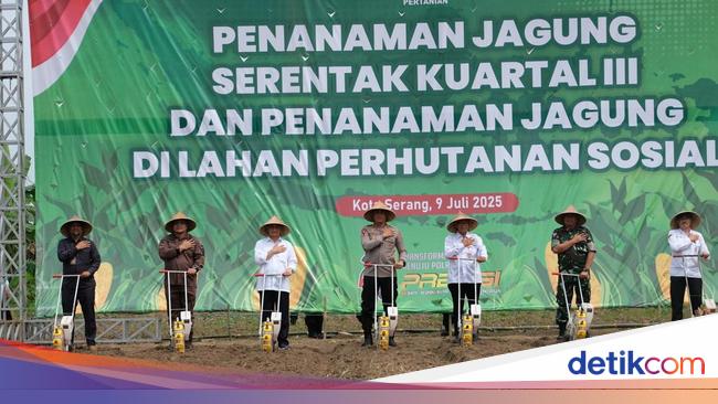 Polda Banten Tanam Jagung di Lahan Perhutanan Sosial 115,76 Hektare