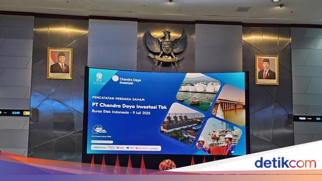Kala Anak Prajogo Pangestu Ikut Saksikan Debut Saham CDIA di BEI