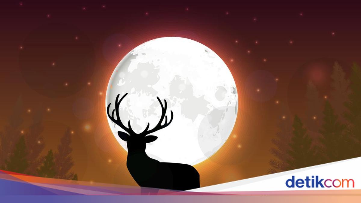 Buck Moon Muncul Malam Ini, Begini Tips Melihat Bulan Purnama Juli