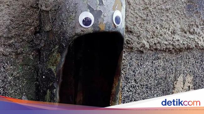 Begini Kalau Benda-benda Punya Mata, Lucu atau Seram?