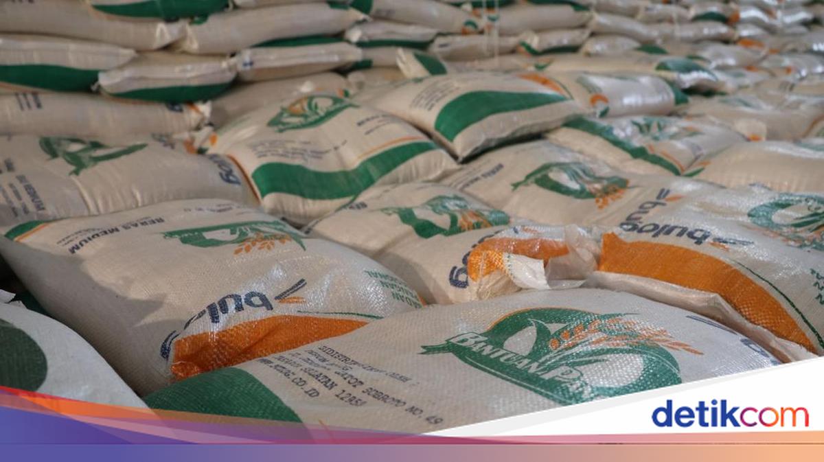 Beras Bulog Turun Mutu Hampir 30 Ribu Ton, Masih Layak Dimakan?
