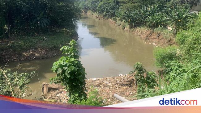 Kesaksian Warga Lihat Biawak Berjajar ke Arah Mayat Tanpa Kepala di Ciliwung