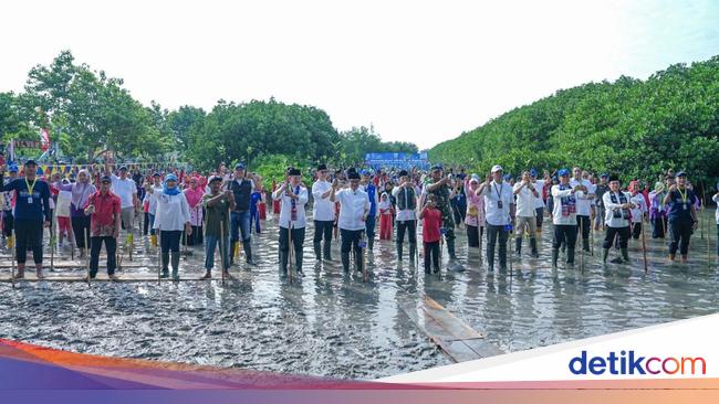 Transjakarta Tanam 15.000 Mangrove, Libatkan Masyarakat dan Mitra