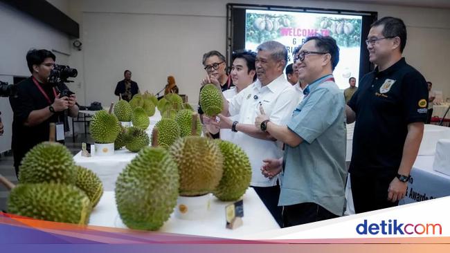 Warung Nasi Tutup gegara Hal Mistis hingga Durian Musang King Jadi Juara