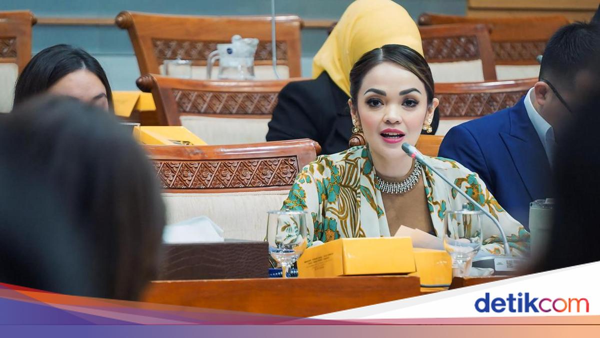 Api Rashda Narang WNI Makin Mudah Dapat Visa Schengen, Anggota DPR: Ini Langkah Maju