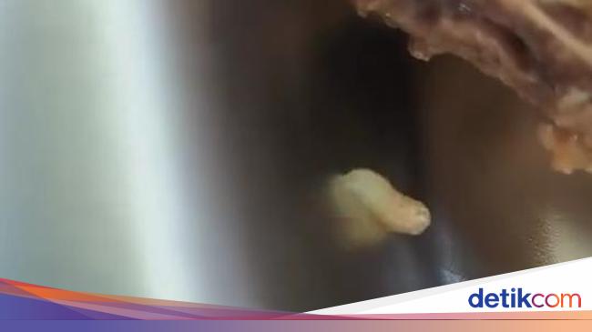 4 Siswa SMK di Jatim Dipanggil Guru BK Usai Viral MBG Berbelatung
