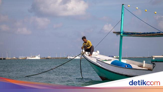 Peringatan! Ikan di Laut Jawa Hampir Habis