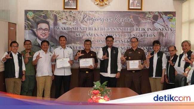 Tindak Perburuan Badak Jawa Ilegal, Kemenhut Beri Penghargaan Kejari Pandeglang