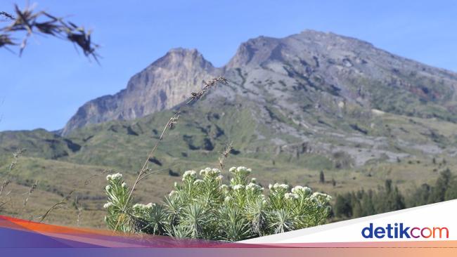 Pemerintah Tutup Sementara Jalur Pendakian Gunung Rinjani Secara Total