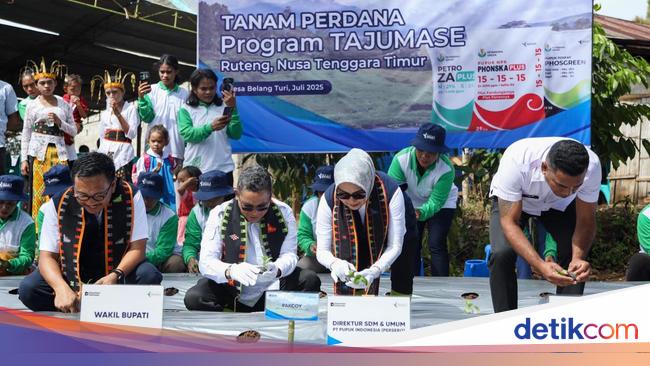 Pupuk Indonesia Beri Bibit Sayuran ke Warga Ruteng NTT