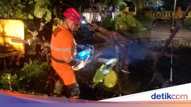 Pohon Tumbang Timpa Kios di Bogor gegara Hujan-Angin Kencang