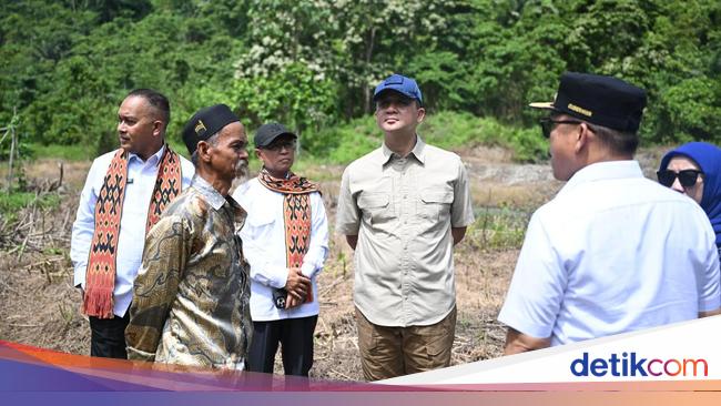 Mentrans Tinjau Lokasi Pembangunan Mess Patriot untuk Penelitian di Mamuju