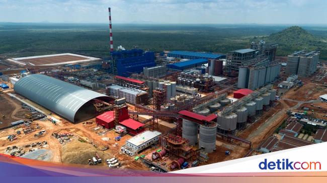 MIND ID Pastikan Seluruh Proyek Hilirisasi Berjalan Terintegrasi