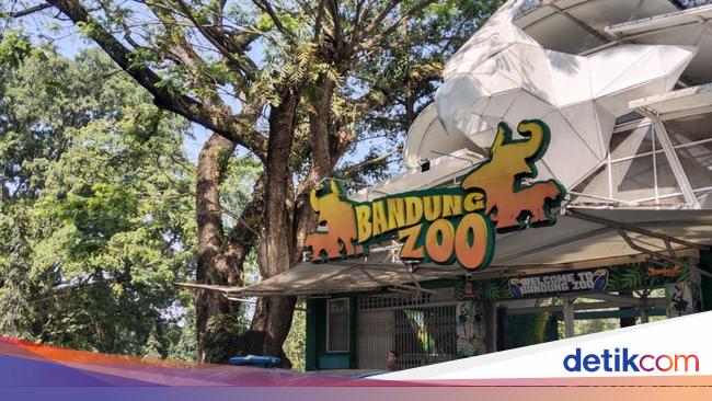 Sengketa Bandung Zoo Ikut Menyeret Wali Kota Farhan, Ia Turut Digugat