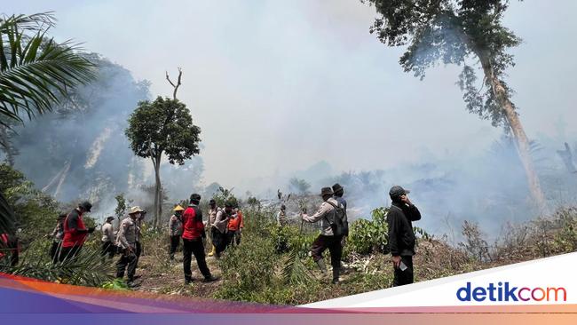 Siswa PAUD Hingga SMP di Rohul Riau Diliburkan 2 Hari Imbas Karhutla