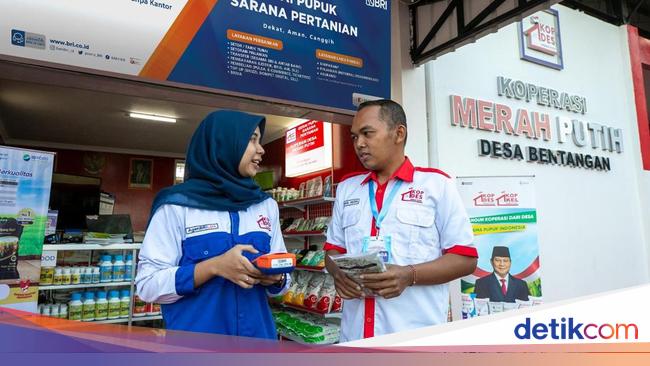 BRI Optimistis Kopdes Merah Putih Jadi Tonggak Ekonomi Kerakyatan