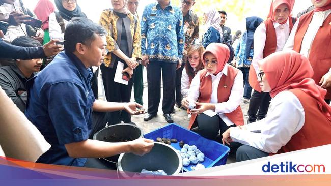 100 Penerima Bansos Jadi Pengrajin Pelepah Pisang dan Pandan di Yogyakarta