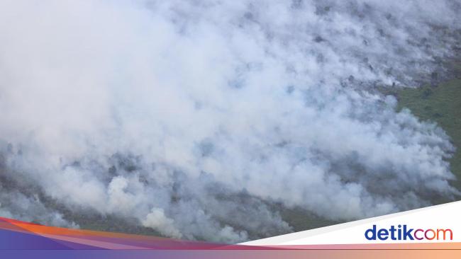 Kepala BNPB: 16 Orang Jadi Tersangka Kasus Karhutla di Riau