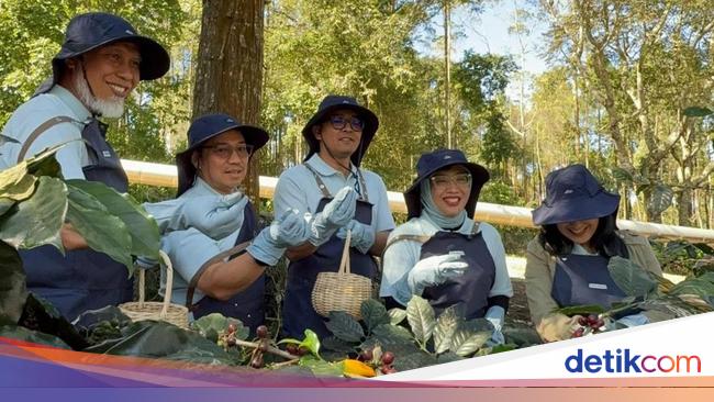 Pertamina Bawa Kopi Petani Kamojang Tembus Pasar Asia dan Eropa