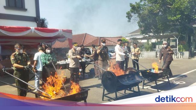 Kejari Pandeglang Musnahkan Barang Bukti Perkara, Ada 7 Senpi Perburuan Badak